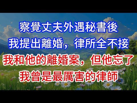 察覺丈夫外遇秘書後,我提出離婚,律所全不接我和他的離婚案,但他忘了,我曾是最厲害的律師