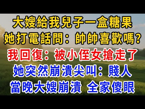 大嫂給我兒子一盒糖果,她打來電話問:帥帥喜歡嗎?我回復:被小侄女搶走了。她突然崩潰尖叫:出事了!賤人。當晚小侄子發生一事,婆家崩潰全家傻眼!