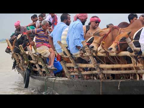 India/Bangladesh: The Traps of the Brahmaputra