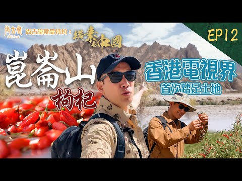 橫素全中國|香港電視界首次到達土地——崑崙山腳 高海拔環境 如何種植有機枸杞? |尚古堂食品 特約:橫素全中國 | EP12| 敖嘉年 | HOY TV