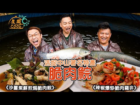 《煮題COOK 6》EP10:活捉中山著名特產脆肉鯇 Jacky、Ricky落廚大顯身手|#中山脆肉鯇|#煮題Cook中山好食好煮|#中山美食|Ricky#張錦祥|Jacky#余健志 |HOY TV