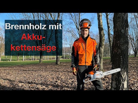 Top oder Flop - Baum fällen + aufarbeiten STIHL MSA 220 Akkukettensäge - Brennholz machen leise