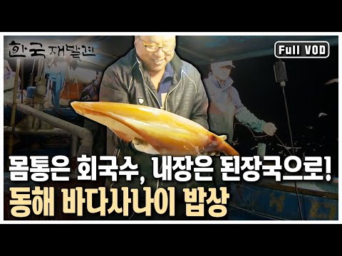 팔뚝만 한 오징어는 물론 오징어 무게의 10배가 훌쩍 넘는 대왕 한치까지! 묵호항의 밤은 낮보다 밝다! 강원 동해 (KBS 20131124 방송)