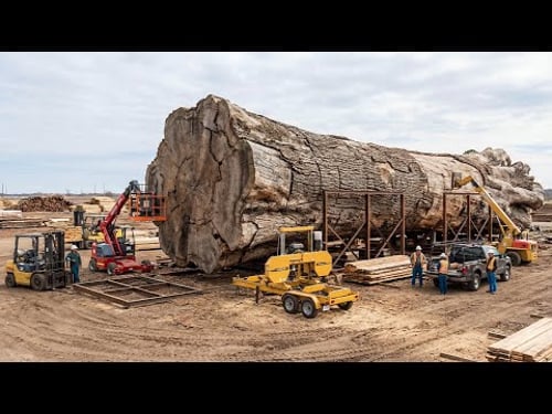 Inside the Largest Sawmill Factory How the Bugatti La Voiture Noire Is Made from Logs (Full Process)