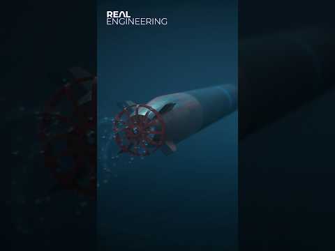 This is the Mark 50 Torpedo