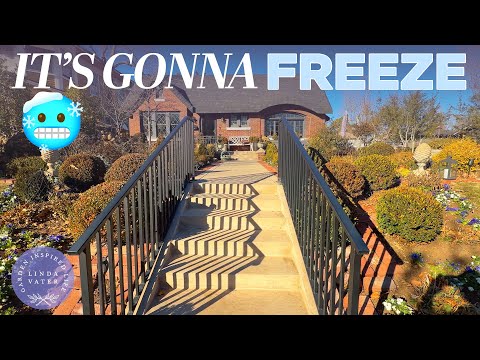 What Should I Do Before This Arctic Freeze? ❄️ | Garden + Home Prep | Linda Vater