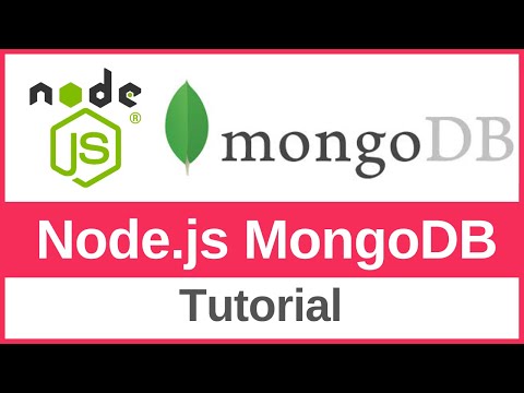 MongoDB with Node.js Tutorial for Beginners