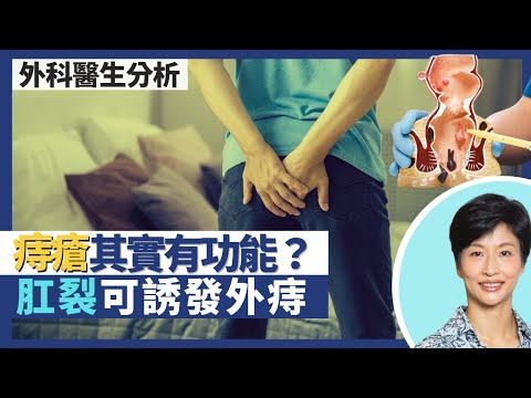 痔瘡與肛裂|大便有血唔痛反而要小心?痔瘡人人都有 痔瘡都有功能?肛裂可誘發外痔 打食肉菌可醫肛裂?|王建芳醫生 外科醫生老兆雄醫生|人類健康研究所