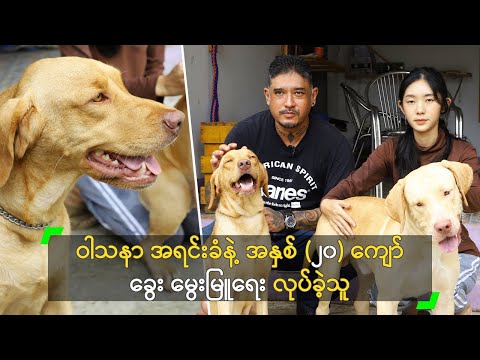 ဝါသနာ အရင်းခံနဲ့ အနှစ် (၂၀) ခွေး မွေးမြူရေး လုပ်ခဲ့သူ