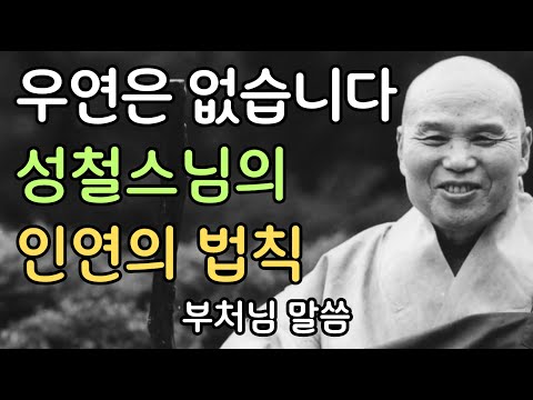 우연은 없습니다 – 성철스님이 가르쳐주신 인연의 법칙 | 부처님말씀 | 불교명언 | 성철스님 | 법문 | 좋은말씀