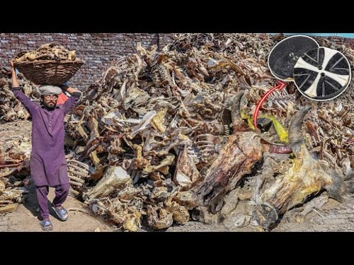Millions of Animals Bones Recycling and Manufacturing Bone Buttons
