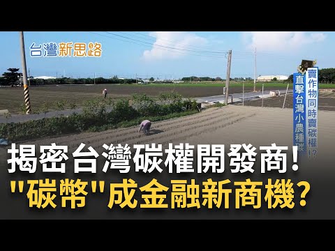 揭密台"碳權富翁"! "碳幣"成金融新商機? 台灣小農種碳 賣農作物同時賣碳權 台灣碳權開發商解密 農地年產價值百萬!|【台灣新思路】20240127|三立iNEWS