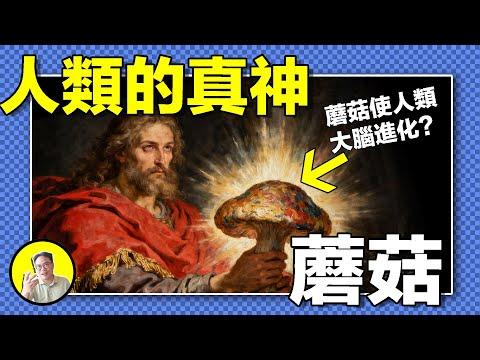 基督教=蘑菇教?死海古卷學者揭露耶穌真身竟是大蘑菇!迷幻猿才是進化真相?壁畫上的密恐薩滿,從視覺研究到熵腦假說,難道真菌才是專為人類設計的伴生物......|總裁聊聊