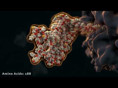 KI in der Forschung: Das Proteinrätsel ist gelöst