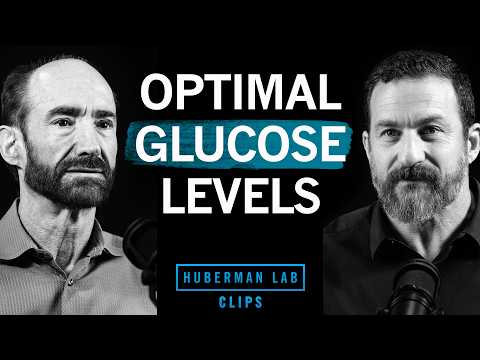How to Maintain Optimal Blood Glucose Levels | Dr. Michael Snyder & Dr. Andrew Huberman