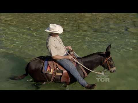 Mule Trainer (Texas Country Reporter)
