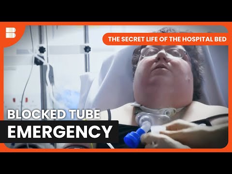 NHS Bed Crisis Elaine Fights for Breath Edward Beats