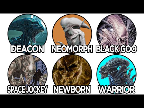 Every Single Alien XENOMORPH Ranked and Explained