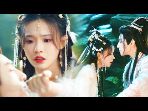 That seemingly insignificant Cinderella is actually a fairy reincarnated; she saved a dying prince.