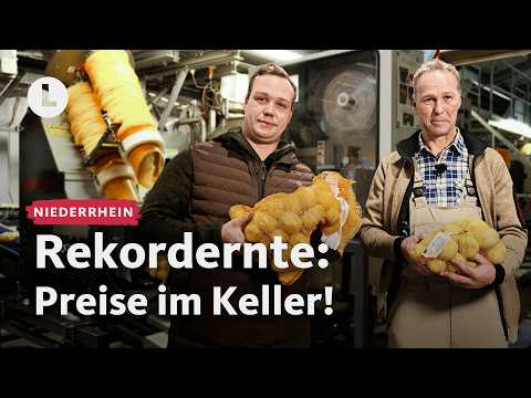 Kartoffel-Fabrik im Check: Was dein Kartoffelpreis mit dieser Halle zu tun hat