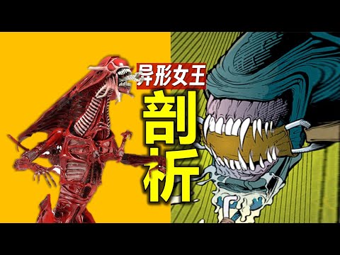 剖析“異形女王”:與其交往有哪些注意事項?