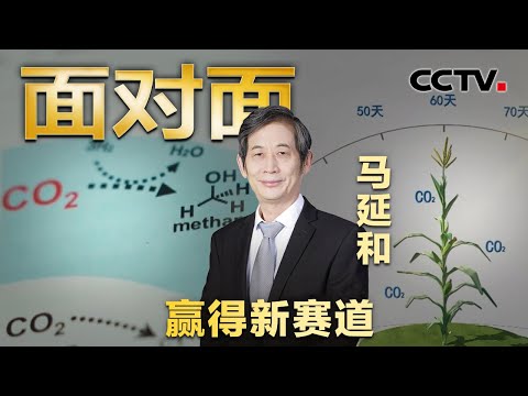 世界首例!空气也能做馒头!国际首例人工合成淀粉刷屏学术圈 网友:靠“喝西北风”活着成为可能 | CCTV「面对面」