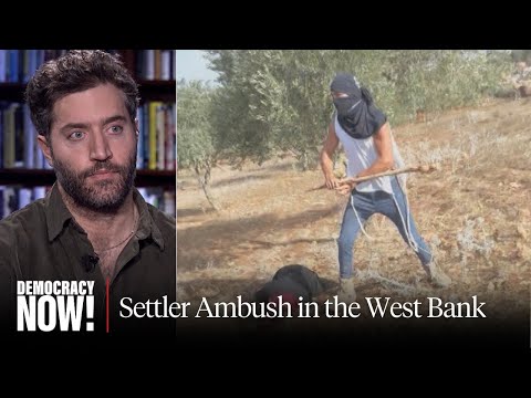"Out for Blood": Journalist Jasper Nathaniel Recounts Settler Attack on West Bank Olive Farmers