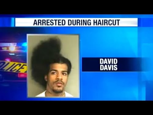 Best TV News Bloopers Ever Made