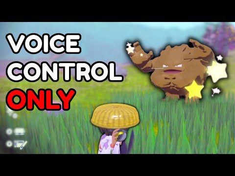 Catching a Shiny Pokemon without a Controller