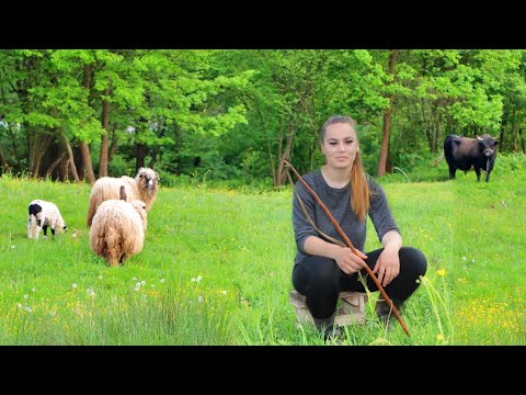 OVO MAJKA jednom RADJA MARTINA čuva bikove i ovce ŠTA ĆE MENI TERETANA nosam TRUPCE SVAKOG DANA