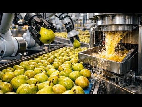 We Turned 1,000,000 Pears Into Juice In 24 Hours! (Satisfying Factory)