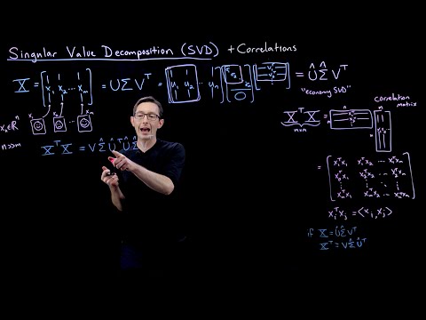 Singular Value Decomposition (SVD): Dominant Correlations