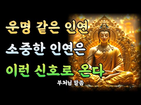 정말 소중한 인연을 만날 때 나타나는 5가지 신호ㅣ부처님 말씀ㅣ불교 명언ㅣ석가모니