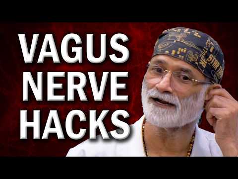 Why Vagus Nerve Stimulation is Crucial – Hacks for Instant Results