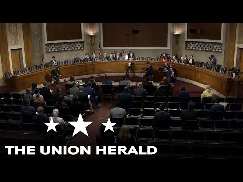 Senate Hearing on the VA Disability System