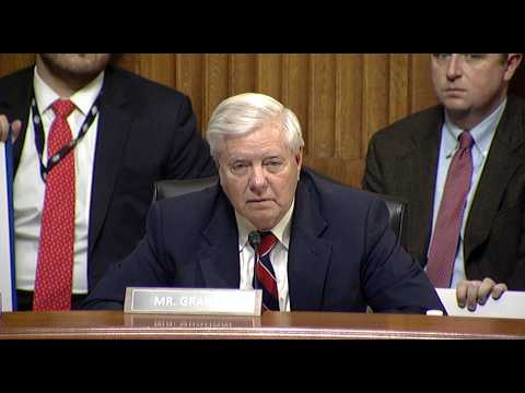 Graham Presses Witnesses on Minnesota Fraud Scandal During Judiciary Subcommittee Hearing