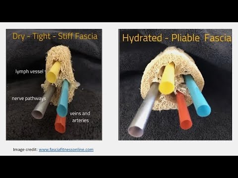 Physical Therapy for Back Pain