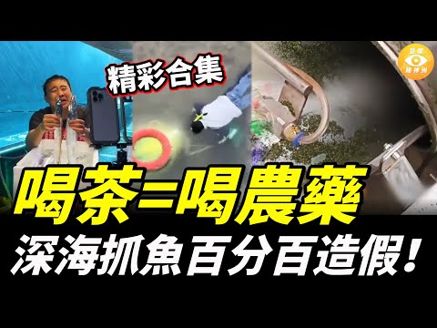 【精彩合集】深海抓魚百分百造假,海上直播全是演的,喝茶=喝農藥,茶葉檢驗師自爆:這些茶我連碰都不敢碰!