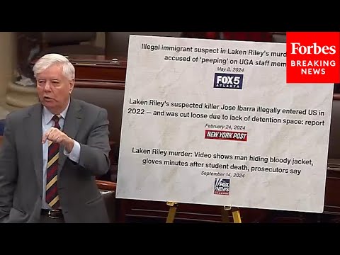 'You Literally Should Go To Jail': Lindsey Graham Rails Against Sanctuary City Policies