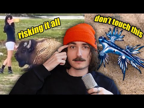 Please Stop Touching Wild Animals