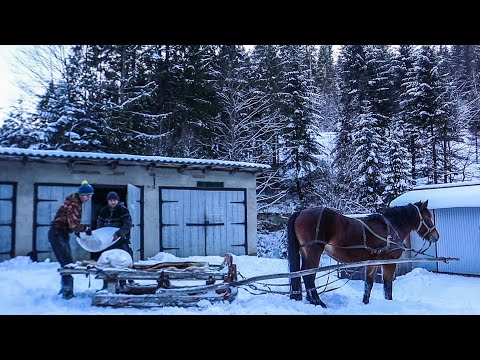HOW THE HUTSULS CARRY PRODUCTS ON HORSES TO THE HOUSE IN THE MOUNTAINS. HARD LIFE IN THE CARPATHIANS