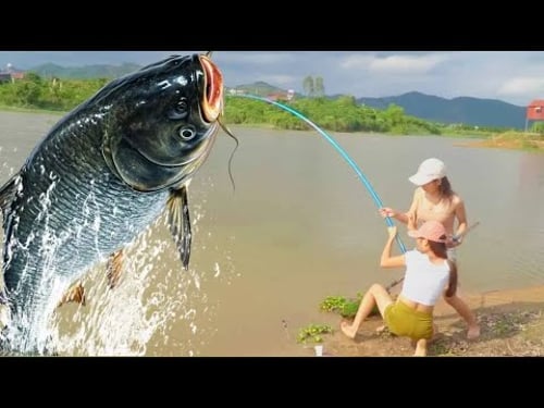 美女被老闆打屁股,微微出頭打賭釣外國大魚,不料最後竟被老闆戲耍【女釣友微微】