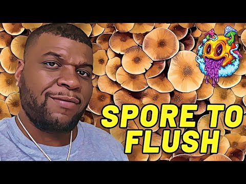 Spore To Flush - Uncle Ben's Tek Season 4 | Beginner's Guide To Growing Mushrooms