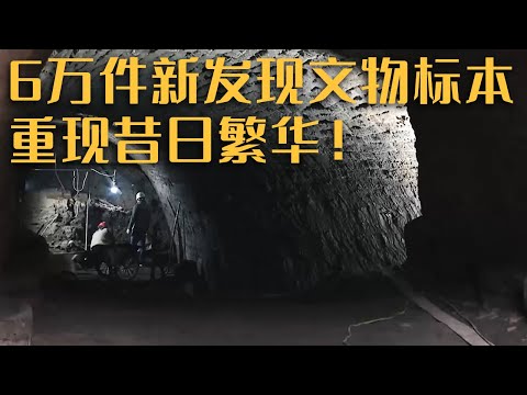 幽深的桥洞内 大运河埋藏千年的秘密被人们逐一发现!《探索·发现》2023考古进行时 第三季 探秘州桥汴河遗址(下)| 中华国宝