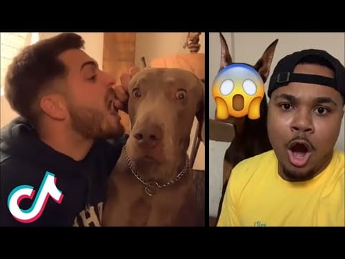 TIK TOKS That Make Me Wanna ππ€£π±π€π