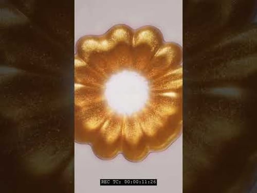 From raw to master 03 LEGEND is out now! #fluidart