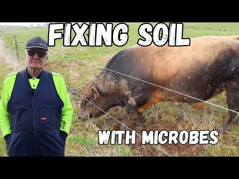 Soil Microbes are The Key To This Farm's Success