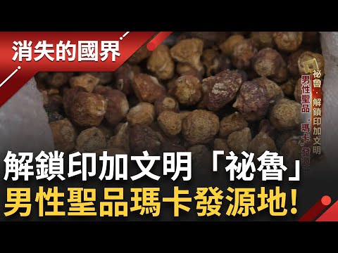 揭密超級食物發源地 神秘的印加古文明曾擁有最偉大的人類文明!「安地斯神獸」可愛羊駝竟來自秘魯?半路出家的台裔賭王 用「吃到飽」留住客人 |李文儀 主持|【消失的國界完整版】20250208|三立新聞台