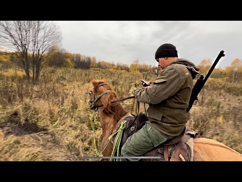 Выехали на лошадях искать в глубоком лесу табун сбежавших башкирских лошадей/ КФХ Хасана Идиятуллина