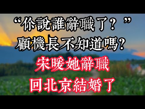 “你説誰辭職了?”“顧機長不知道嗎?宋暖她辭職回北京結婚了”